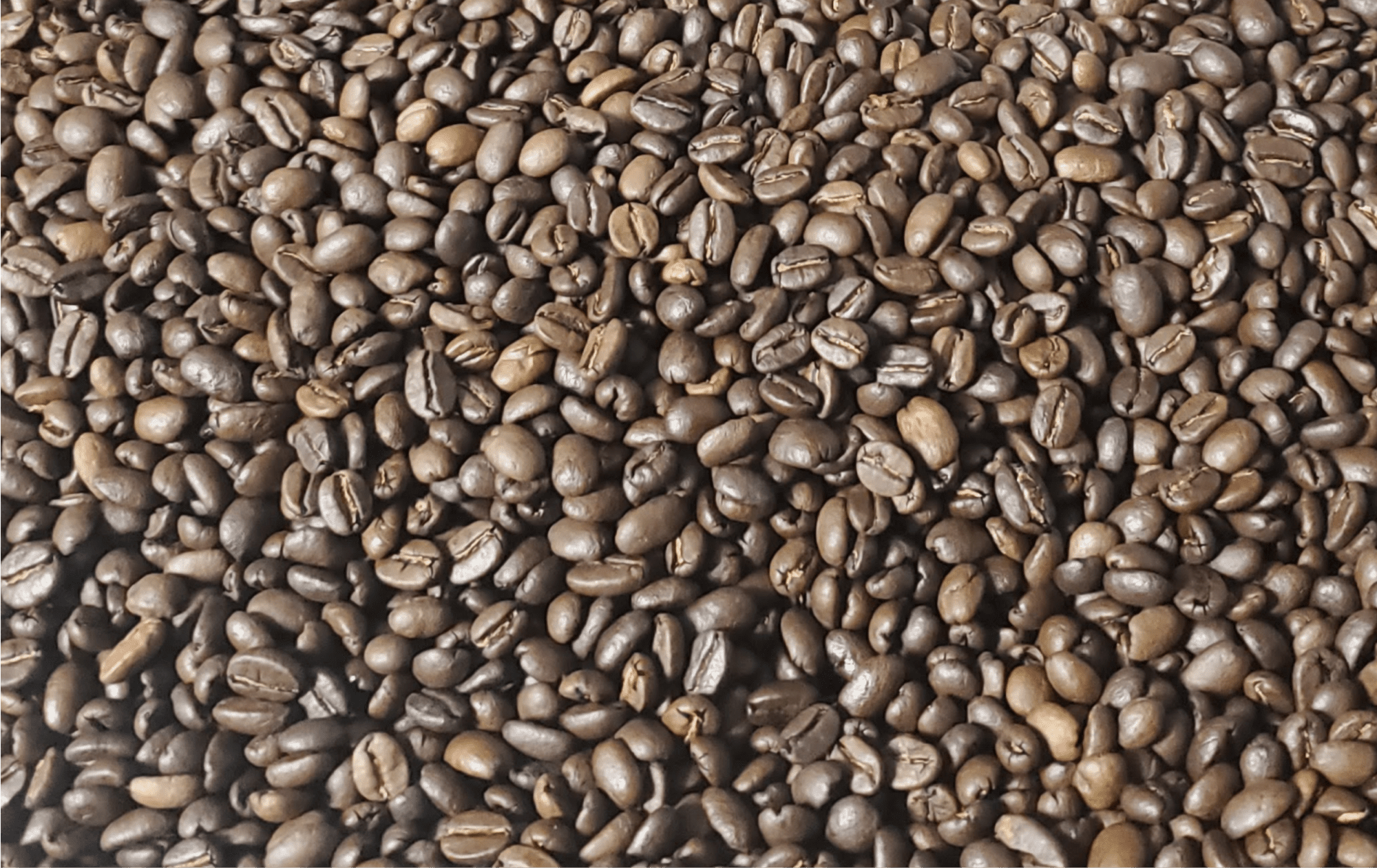 Roasted Coffee