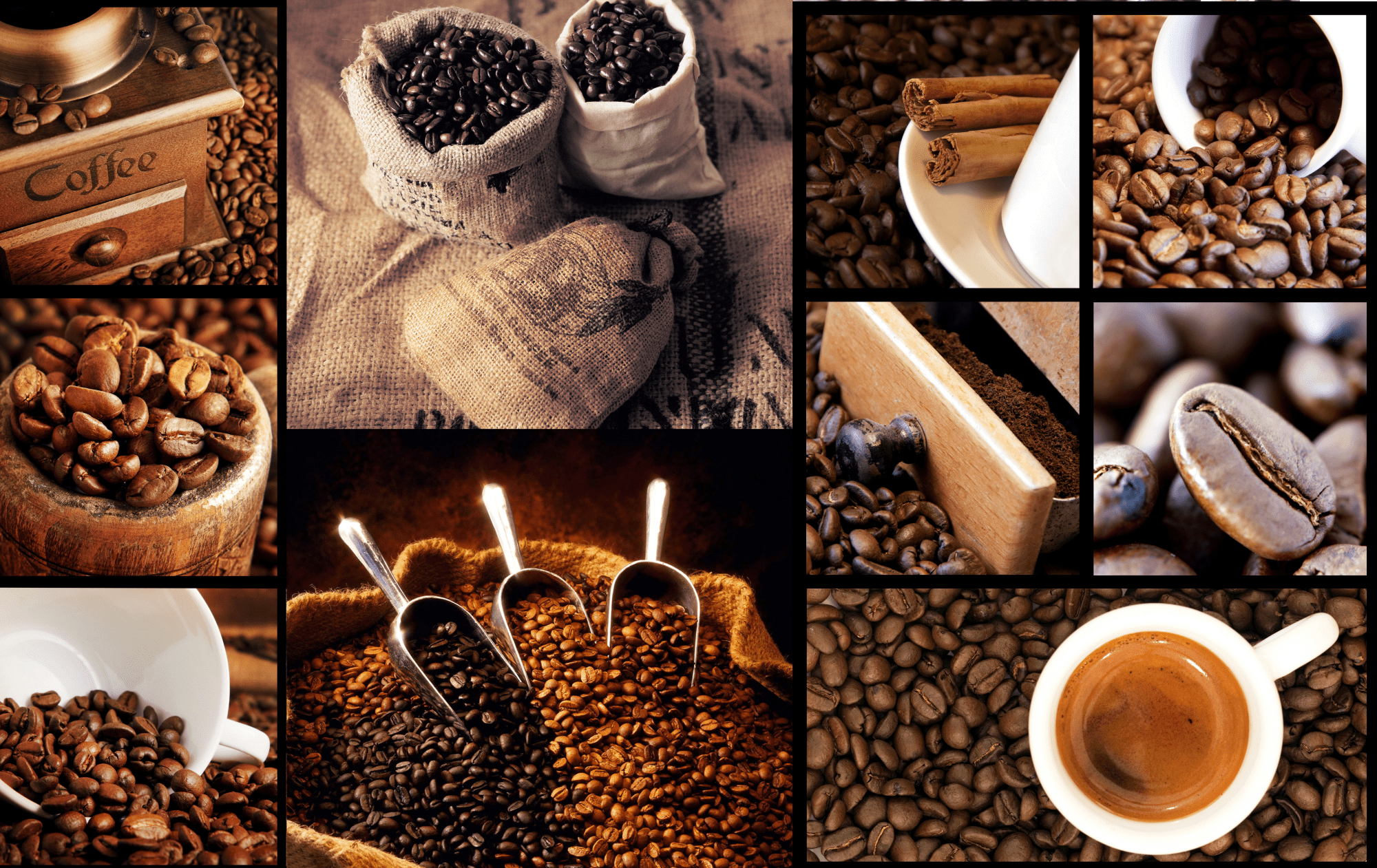 Signature Blends