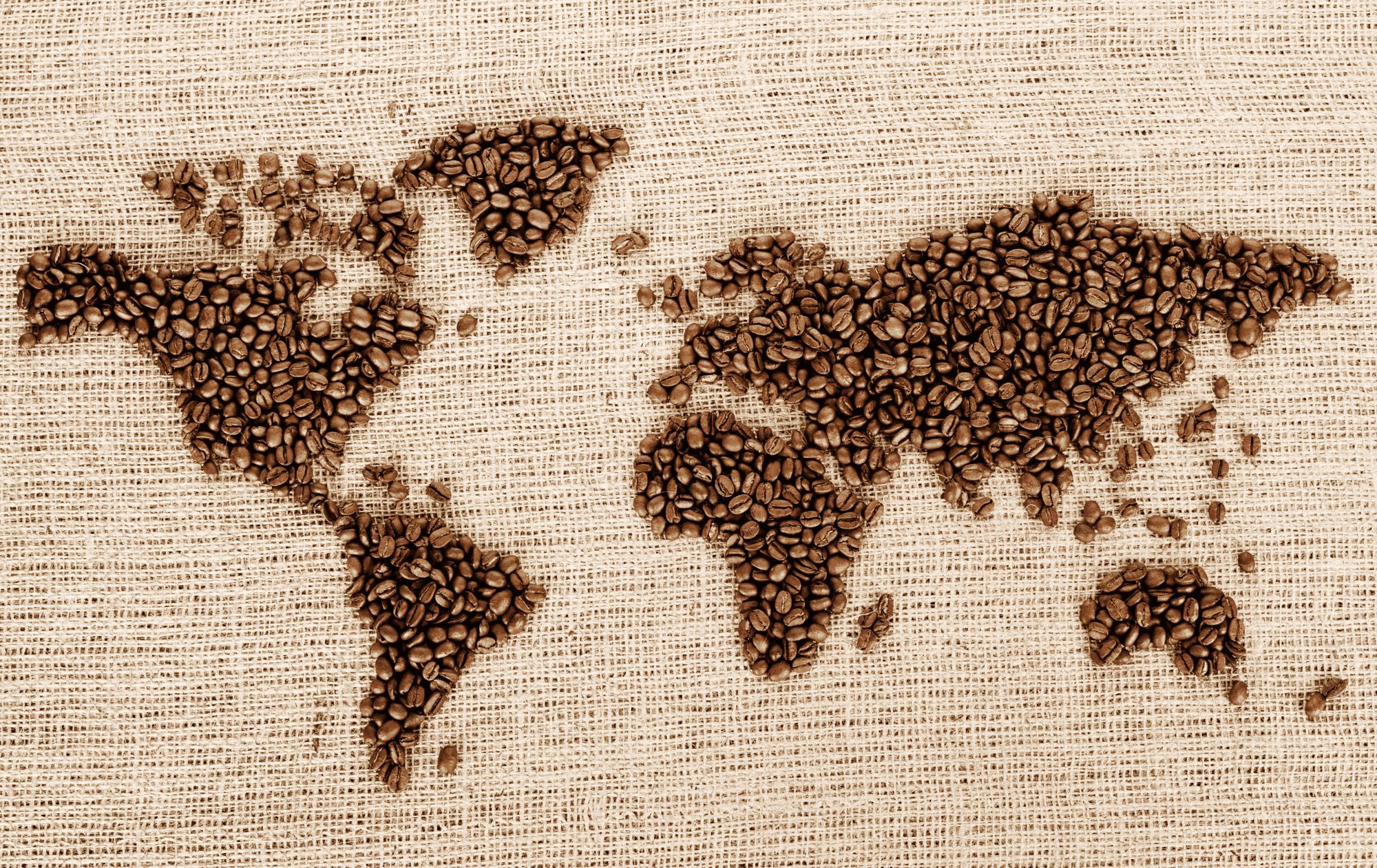 Single Origin